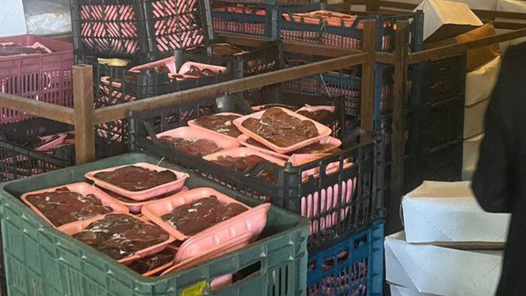 کشف ۵۵ تُن فرآورده های دامی تاریخ مصرف گذشته در گلستان